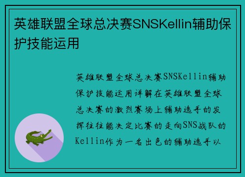 英雄联盟全球总决赛SNSKellin辅助保护技能运用