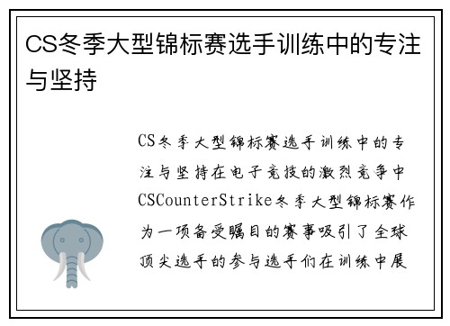 CS冬季大型锦标赛选手训练中的专注与坚持