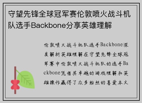 守望先锋全球冠军赛伦敦喷火战斗机队选手Backbone分享英雄理解